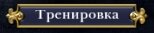 кнопка "тренировка"